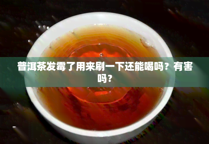 普洱茶发霉了用来刷一下还能喝吗？有害吗？