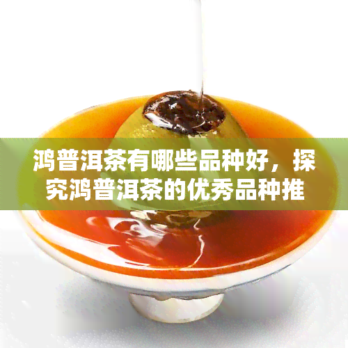 鸿普洱茶有哪些品种好，探究鸿普洱茶的优秀品种推荐