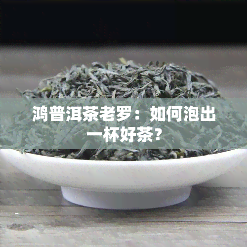 鸿普洱茶老罗：如何泡出一杯好茶？