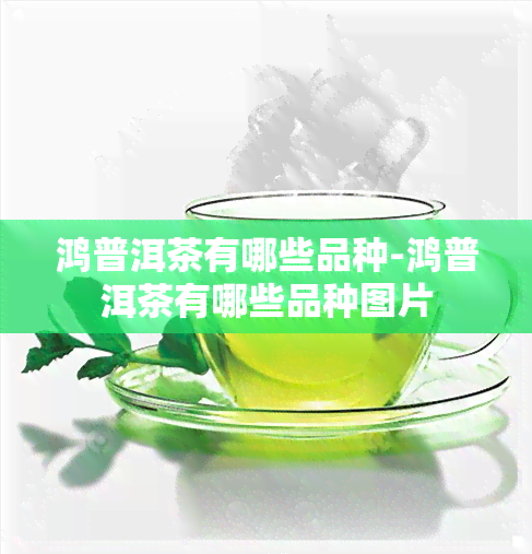 鸿普洱茶有哪些品种-鸿普洱茶有哪些品种图片