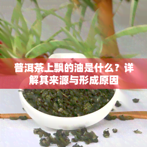 普洱茶上飘的油是什么？详解其来源与形成原因