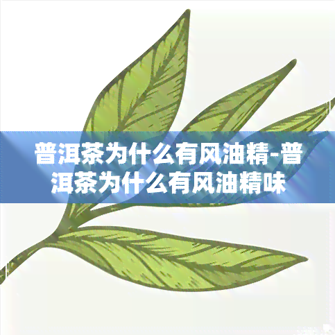 普洱茶为什么有风油精-普洱茶为什么有风油精味