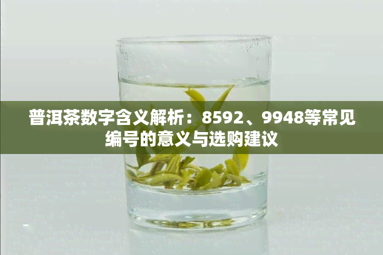 普洱茶数字含义解析：8592、9948等常见编号的意义与选购建议