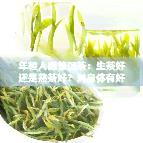 年轻人喝普洱茶：生茶好还是熟茶好？对身体有好处吗？