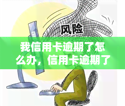 我信用卡逾期了怎么办，信用卡逾期了？教你应对的正确方法！