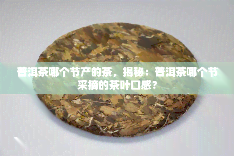 普洱茶哪个节产的茶，揭秘：普洱茶哪个节采摘的茶叶口感？