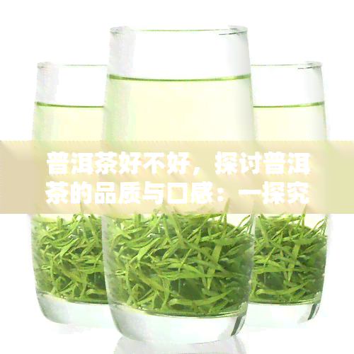 普洱茶好不好，探讨普洱茶的品质与口感：一探究竟它是否值得一试