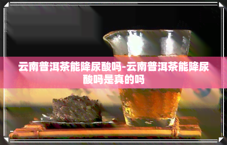 云南普洱茶能降尿酸吗-云南普洱茶能降尿酸吗是真的吗