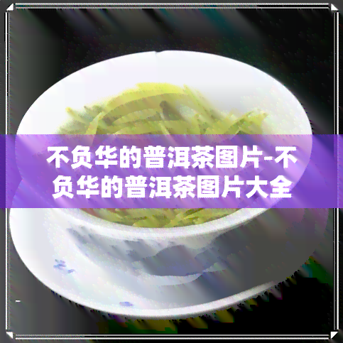 不负华的普洱茶图片-不负华的普洱茶图片大全