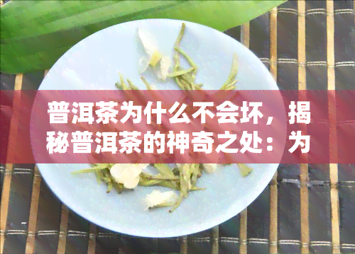 普洱茶为什么不会坏，揭秘普洱茶的神奇之处：为何它能长期保存而不变质？