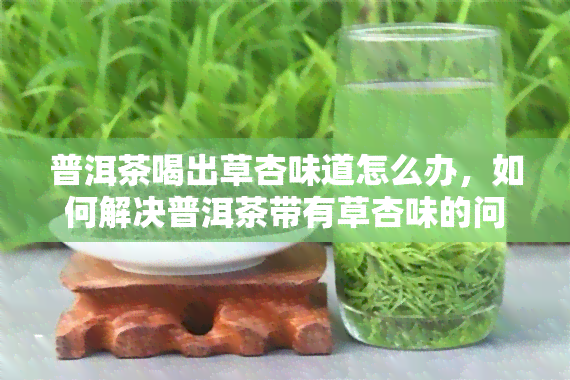 普洱茶喝出草杏味道怎么办，如何解决普洱茶带有草杏味的问题？