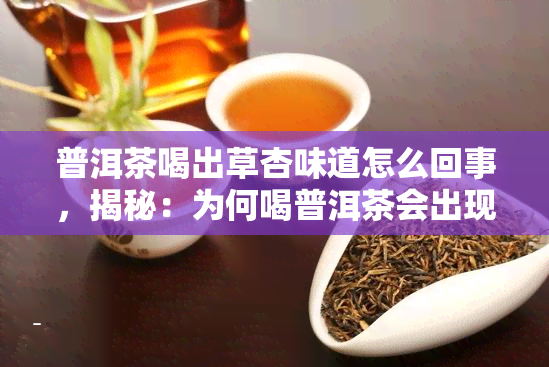 普洱茶喝出草杏味道怎么回事，揭秘：为何喝普洱茶会出现草杏味？