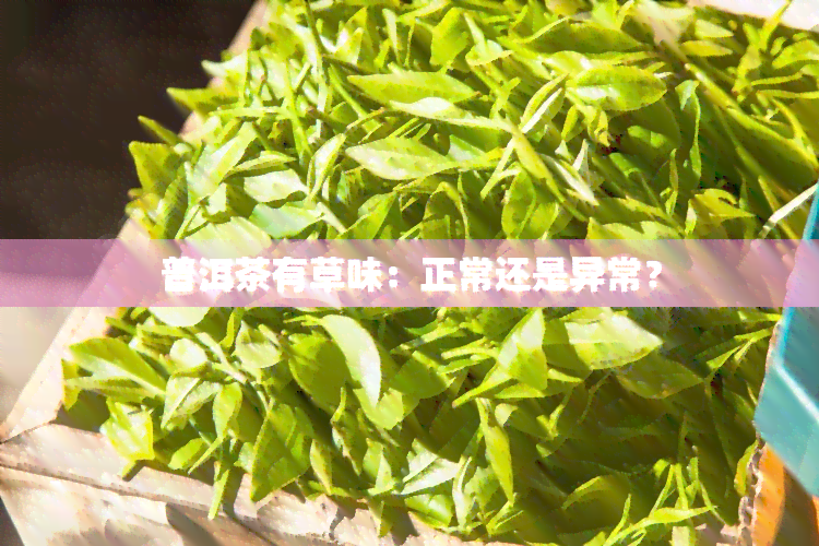 普洱茶有草味：正常还是异常？