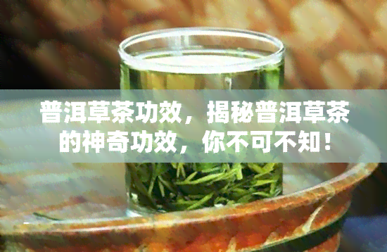 普洱草茶功效，揭秘普洱草茶的神奇功效，你不可不知！