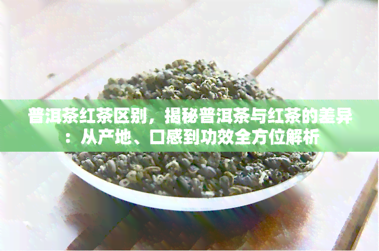 普洱茶红茶区别，揭秘普洱茶与红茶的差异：从产地、口感到功效全方位解析