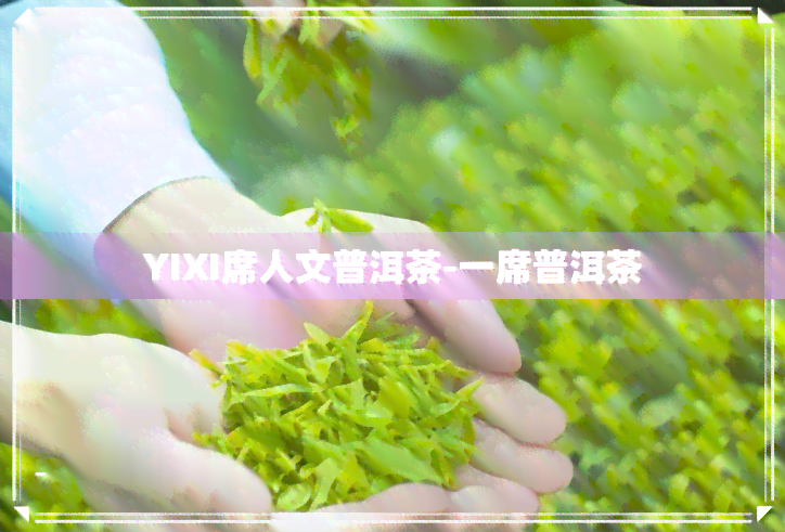 YIXI席人文普洱茶-一席普洱茶