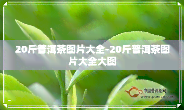 20斤普洱茶图片大全-20斤普洱茶图片大全大图