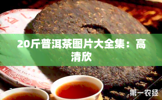 20斤普洱茶图片大全集：高清欣