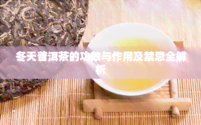 冬天普洱茶的功效与作用及禁忌全解析