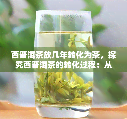 西普洱茶放几年转化为茶，探究西普洱茶的转化过程：从茶叶到陈年佳酿的时间解析