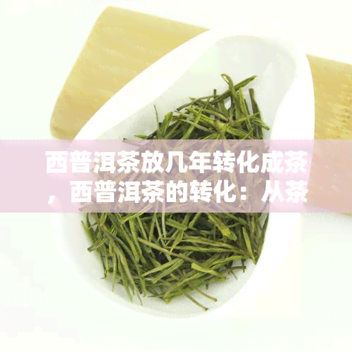 西普洱茶放几年转化成茶，西普洱茶的转化：从茶叶到陈年佳酿的时间之旅