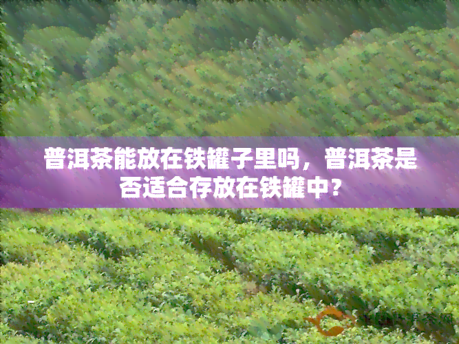 普洱茶能放在铁罐子里吗，普洱茶是否适合存放在铁罐中？