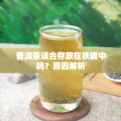 普洱茶适合存放在铁罐中吗？原因解析