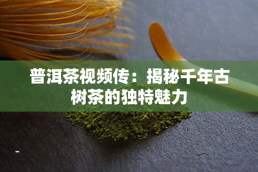 普洱茶视频传：揭秘千年古树茶的独特魅力