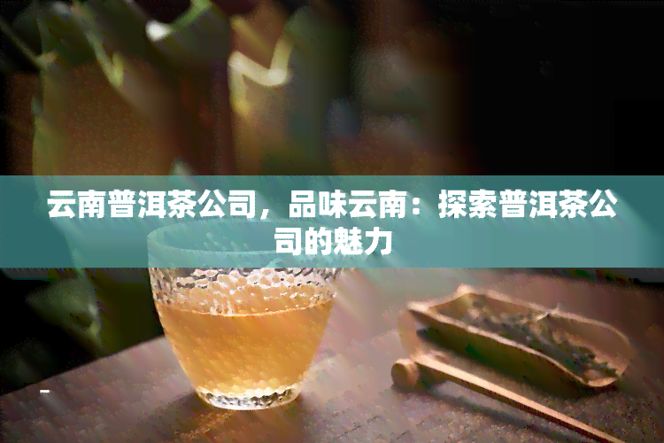 云南普洱茶公司，品味云南：探索普洱茶公司的魅力