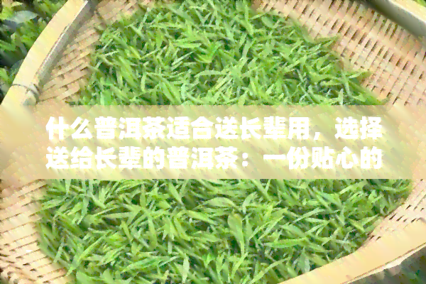 什么普洱茶适合送长辈用，选择送给长辈的普洱茶：一份贴心的礼物推荐