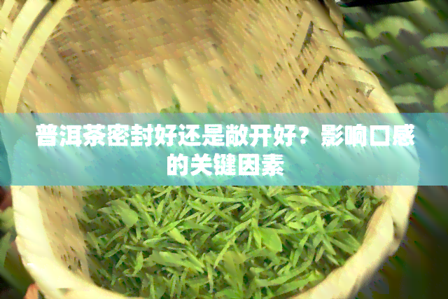 普洱茶密封好还是敞开好？影响口感的关键因素