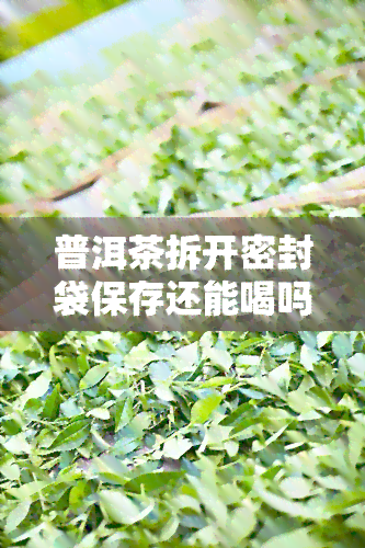 普洱茶拆开密封袋保存还能喝吗，拆封后的普洱茶是否还能饮用？密封袋的影响解析