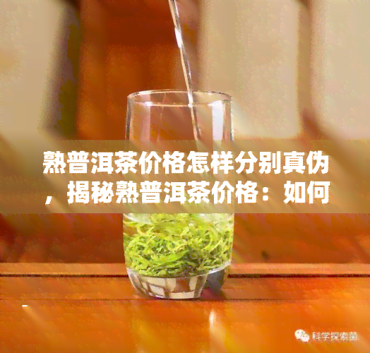 熟普洱茶价格怎样分别真伪，揭秘熟普洱茶价格：如何辨别真伪？