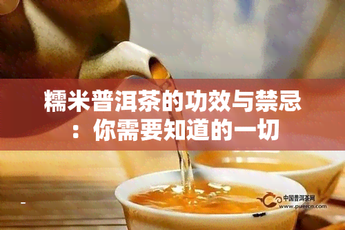 糯米普洱茶的功效与禁忌：你需要知道的一切