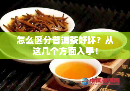 怎么区分普洱茶好坏？从这几个方面入手！