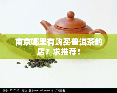 南京哪里有购买普洱茶的店？求推荐！