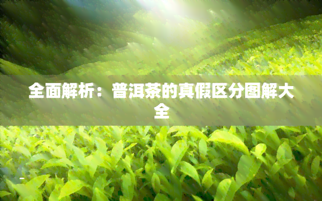 全面解析：普洱茶的真假区分图解大全