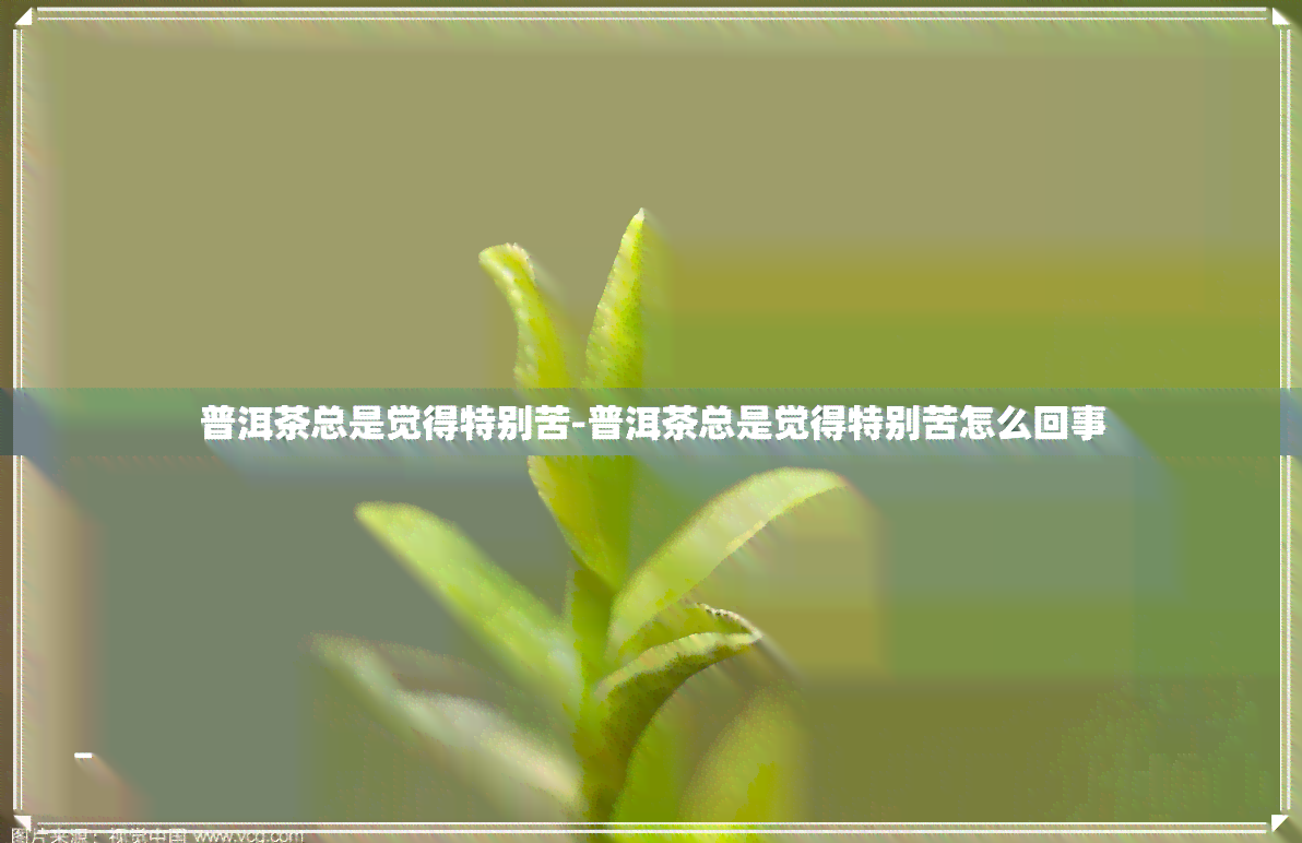 普洱茶总是觉得特别苦-普洱茶总是觉得特别苦怎么回事