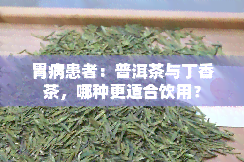 胃病患者：普洱茶与丁香茶，哪种更适合饮用？