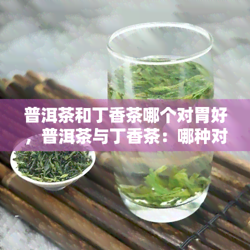 普洱茶和丁香茶哪个对胃好，普洱茶与丁香茶：哪种对胃更好？