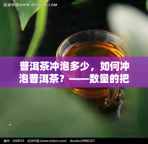 普洱茶冲泡多少，如何冲泡普洱茶？——数量的把握是关键！