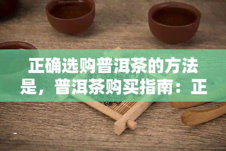 正确选购普洱茶的方法是，普洱茶购买指南：正确选购的技巧和方法