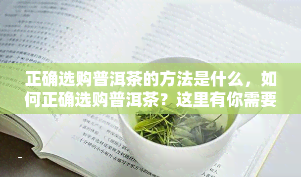 正确选购普洱茶的方法是什么，如何正确选购普洱茶？这里有你需要知道的方法