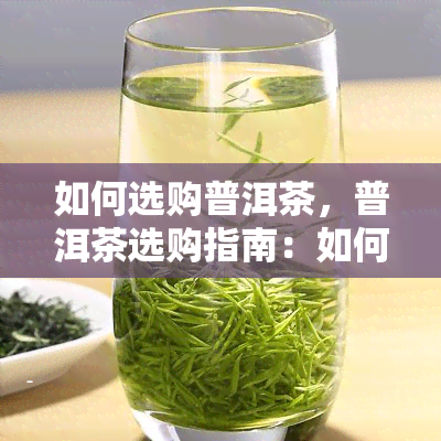 如何选购普洱茶，普洱茶选购指南：如何挑选优质的普洱茶？