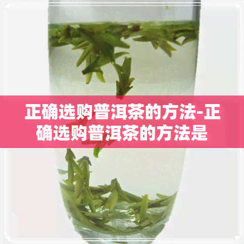 正确选购普洱茶的方法-正确选购普洱茶的方法是