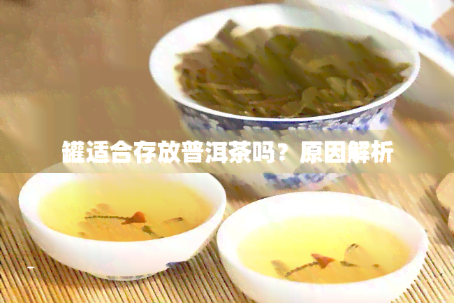 罐适合存放普洱茶吗？原因解析