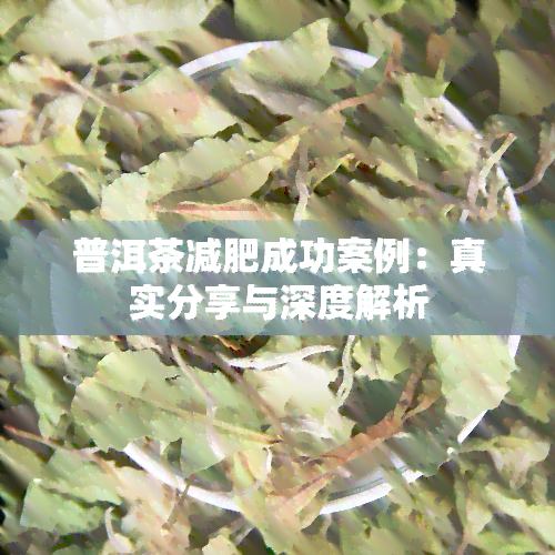 普洱茶减肥成功案例：真实分享与深度解析