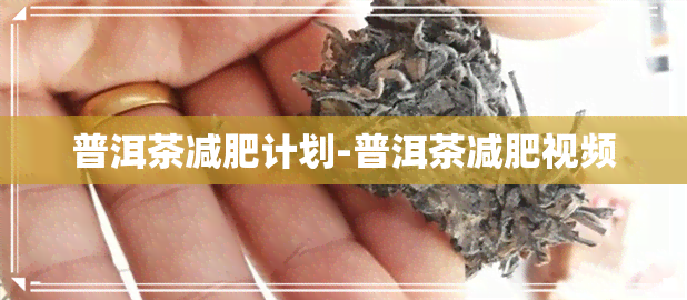 普洱茶减肥计划-普洱茶减肥视频