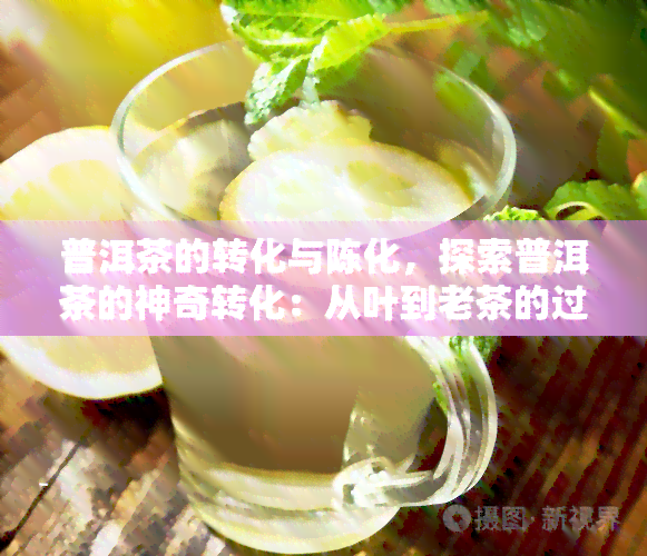 普洱茶的转化与陈化，探索普洱茶的神奇转化：从叶到老茶的过程与陈化技巧