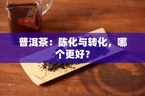 普洱茶：陈化与转化，哪个更好？